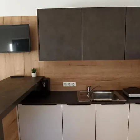 Rittertal Traunsee Apartment Altmuenster